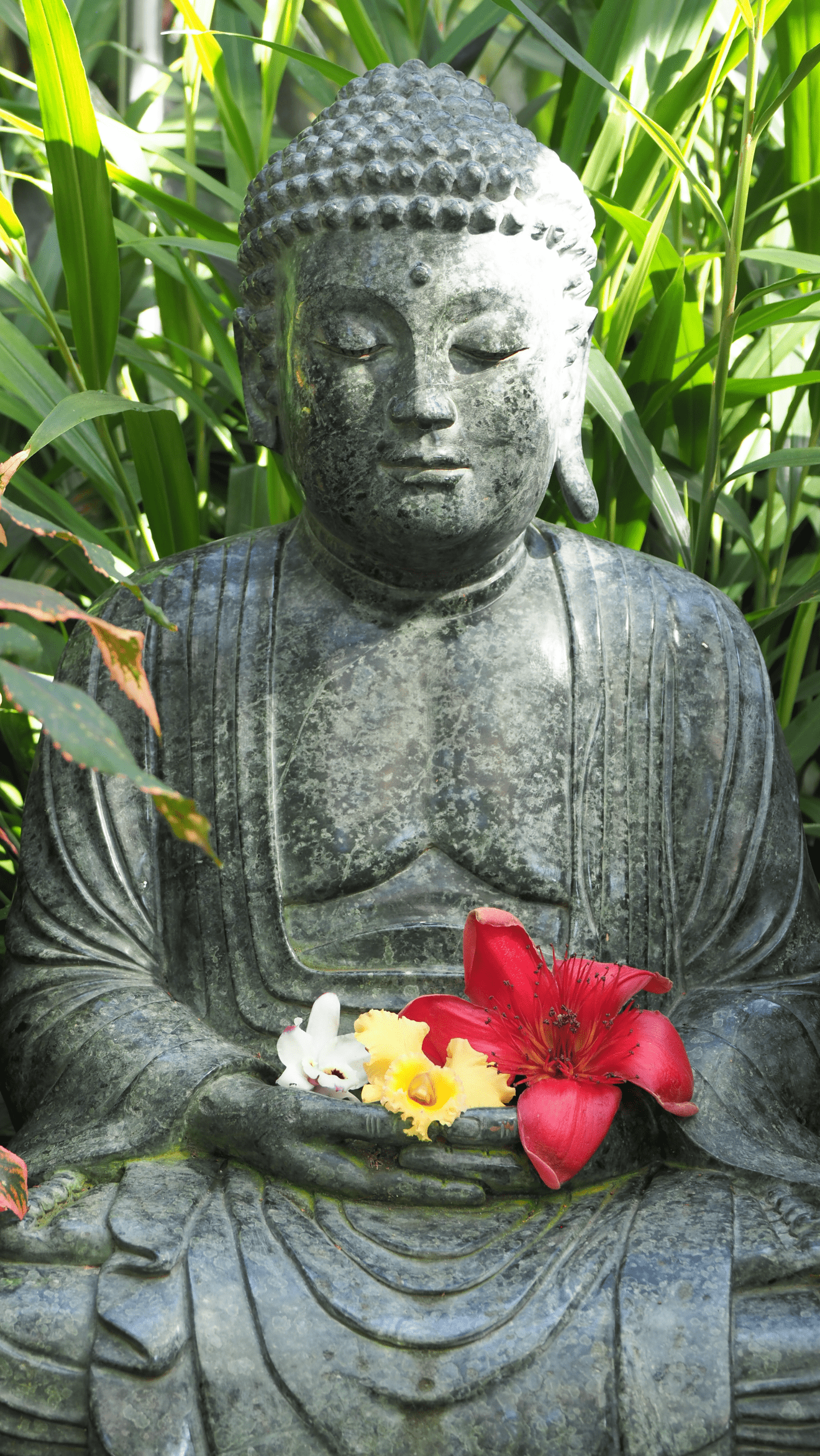 selby buddha-081