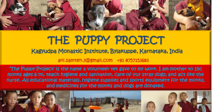 The Puppy Project