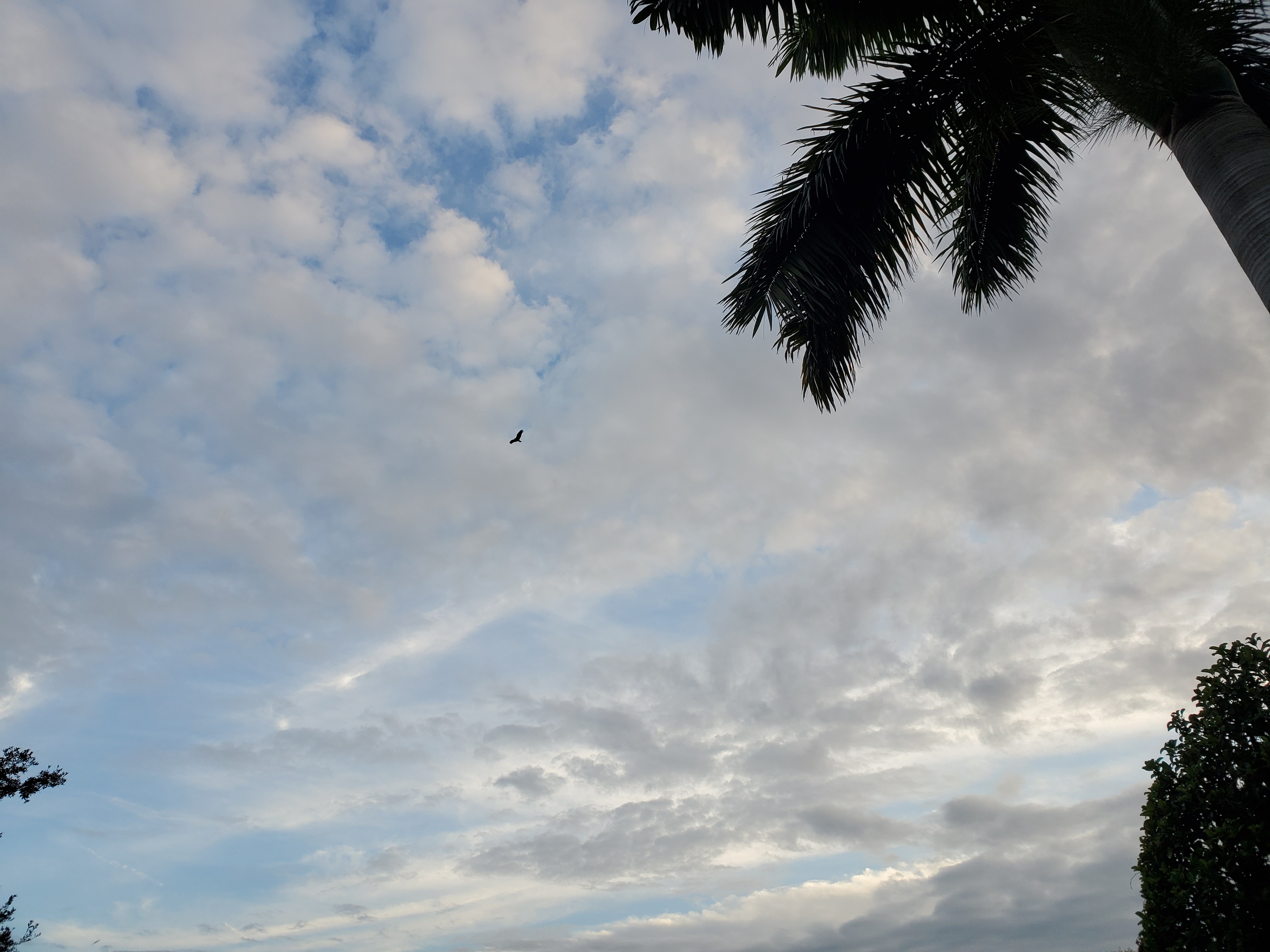 Making Clouds Disappear Ordinary Zen Sangha