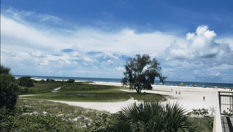 OZS  Meditation on Siesta Key Beach